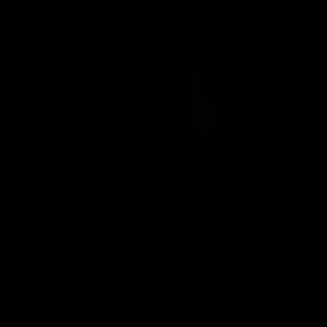 Vunfan
